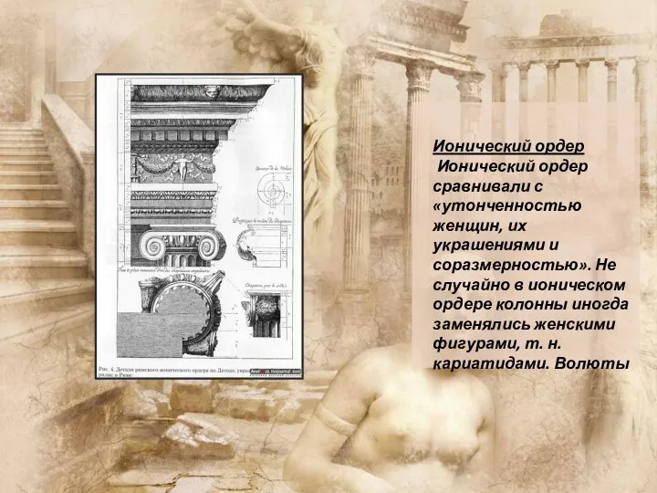 Ионический ордер Ионический ордер сравнивали с «утонченностью женщин, их украшениями и соразмерностью».