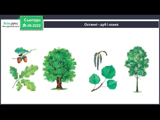 29.09.2022 Сьогодні Останні – дуб і осика