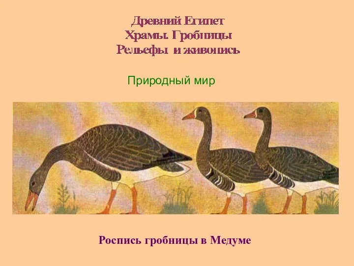 Природный мир Роспись гробницы в Медуме