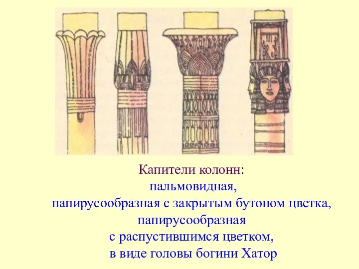 Капители колонн: пальмовидная, папирусообразная с закрытым бутоном цветка, папирусообразная с распустившимся цветком,