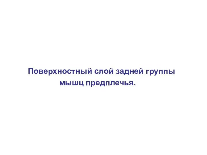 Поверхностный слой задней группы мышц предплечья.