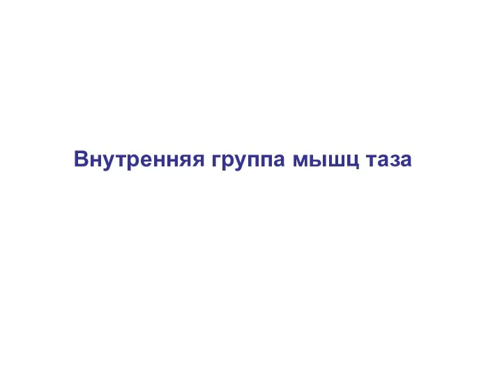 Внутренняя группа мышц таза