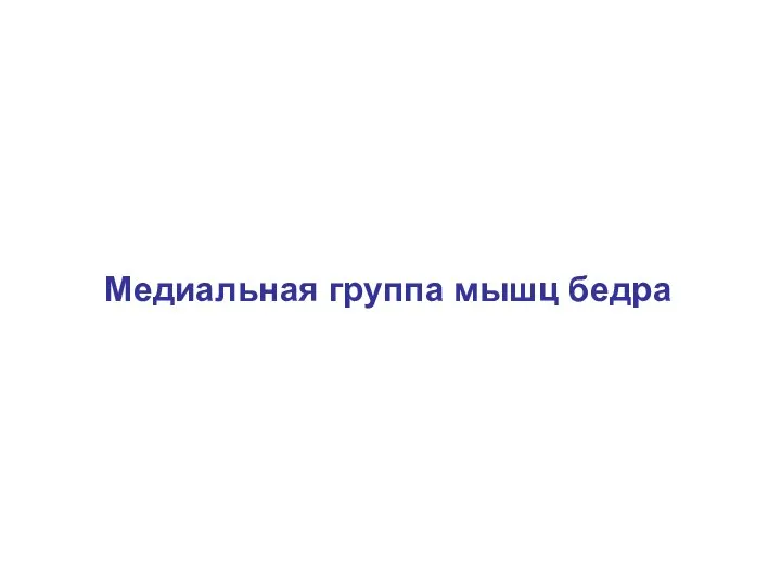 Медиальная группа мышц бедра