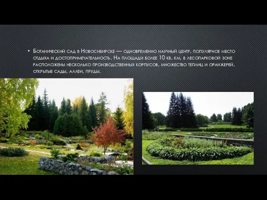 Ботанический сад в Новосибирске — одновременно научный центр, популярное место отдыха и