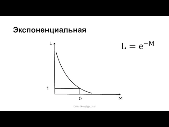 Экспоненциальная Санкт-Петербург, 2019