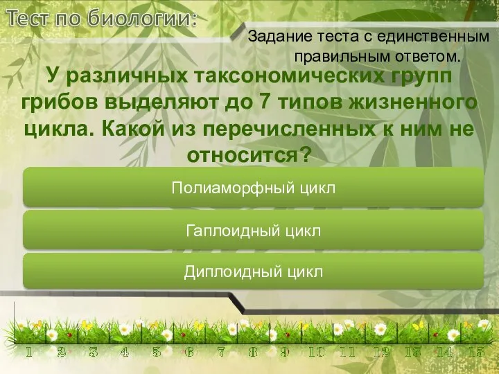 Полиаморфный цикл Гаплоидный цикл Диплоидный цикл У различных таксономических групп грибов выделяют