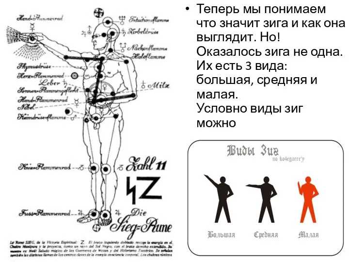 Теперь мы понимаем что значит зига и как она выглядит. Но! Оказалось