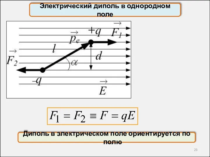 Электрический диполь в однородном поле Диполь в электрическом поле ориентируется по полю