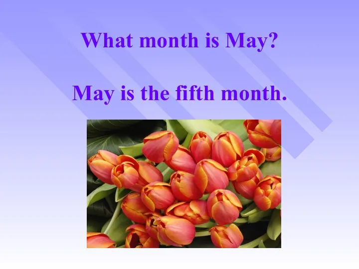 What month is May? May is the fifth month.
