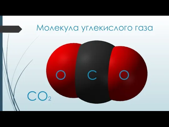 Молекула углекислого газа O C O CO2