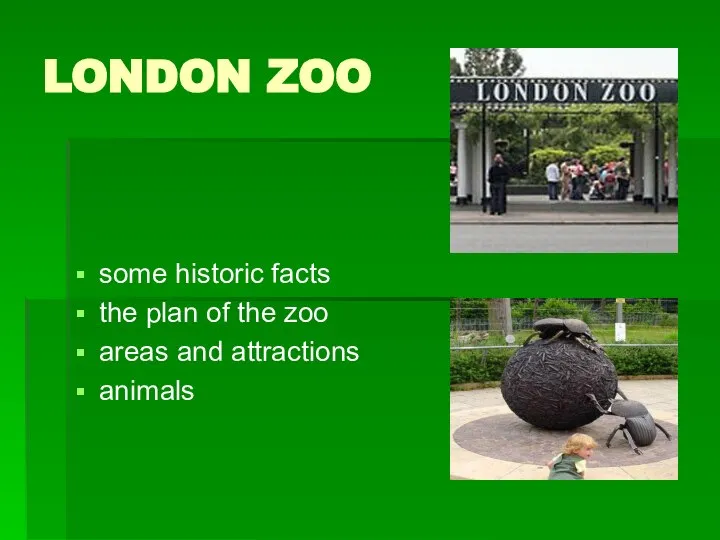 LONDON ZOO some historic facts the plan of the zoo areas and attractions animals