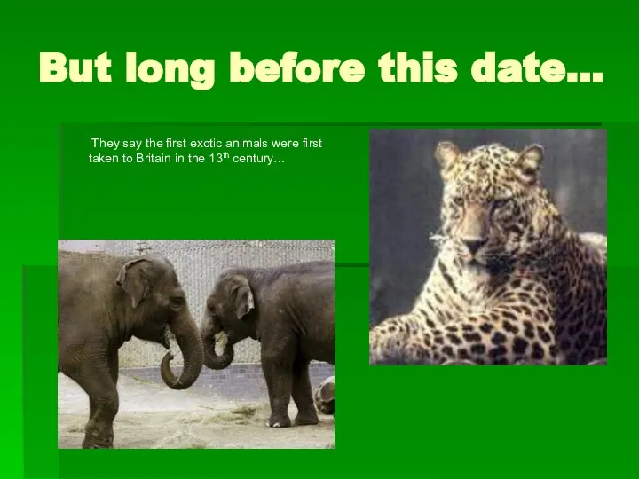 But long before this date… They say the first exotic animals were