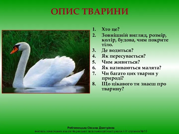 ОПИС ТВАРИНИ Хто це? Зовнішній вигляд, розмір, колір, будова, чим покрите тіло.