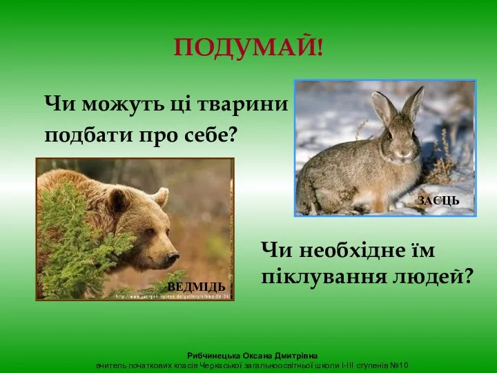 ПОДУМАЙ! Чи можуть ці тварини подбати про себе? Чи необхідне їм піклування