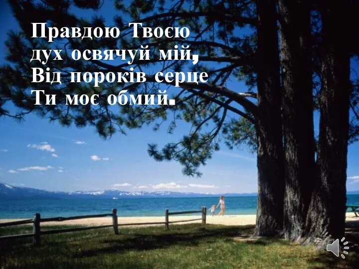 Правдою Твоєю дух освячуй мій, Від пороків серце Ти моє обмий.