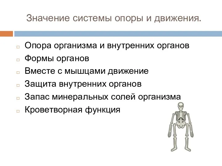 Значение системы опоры и движения. Опора организма и внутренних органов Формы органов