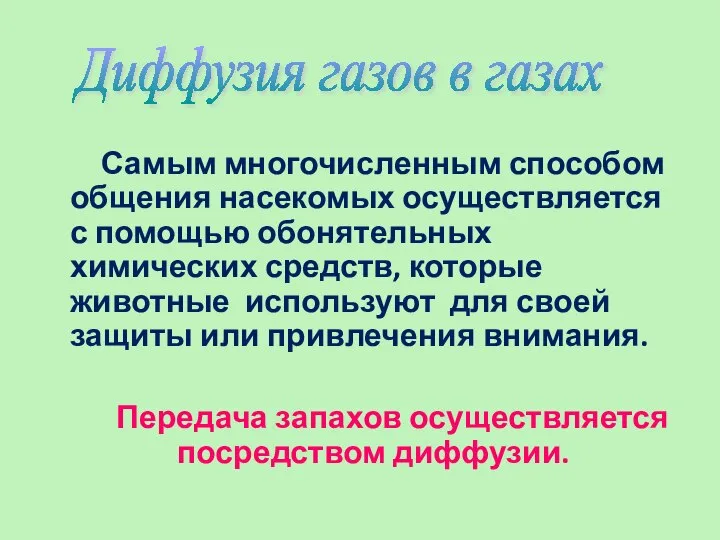 Самым многочисленным способом общения насекомых осуществляется с помощью обонятельных химических средств, которые