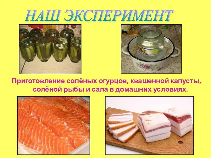 Приготовление солёных огурцов, квашенной капусты, солёной рыбы и сала в домашних условиях. НАШ ЭКСПЕРИМЕНТ