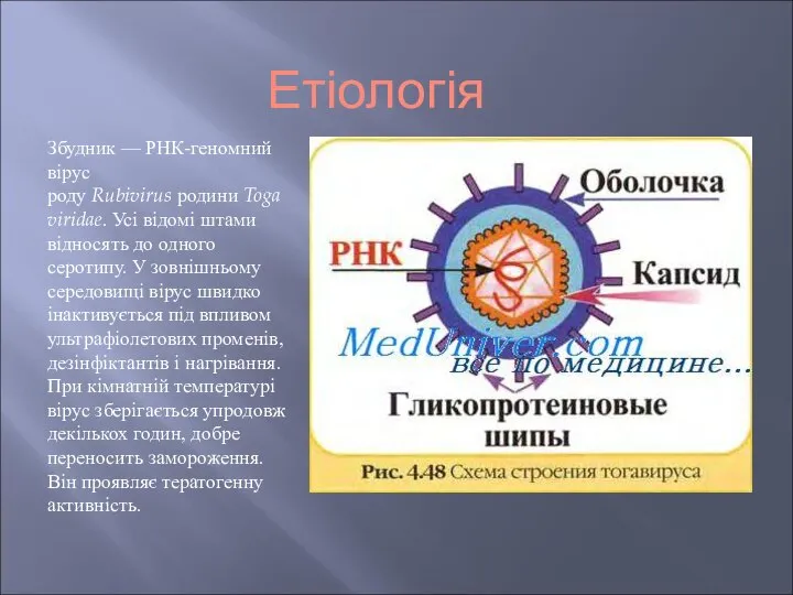 Етіологія Збудник — РНК-геномний вірус роду Rubivirus родини Togaviridae. Усі відомі штами