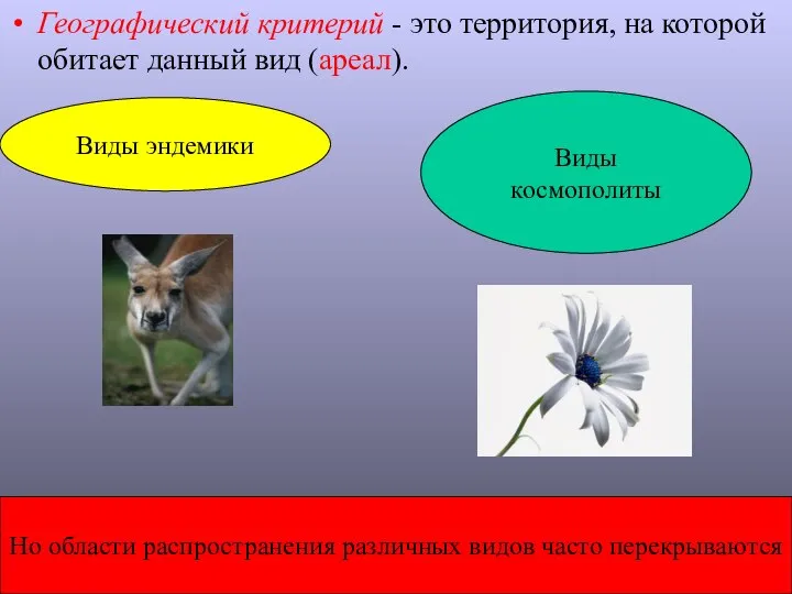 Географический критерий - это территория, на которой обитает данный вид (ареал). Виды