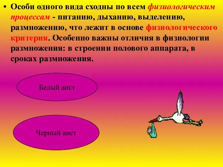 Особи одного вида сходны по всем физиологическим процессам - питанию, дыханию, выделению,