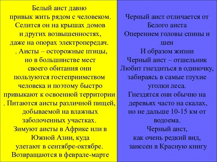 Белый аист давно привык жить рядом с человеком. Селится он на крышах