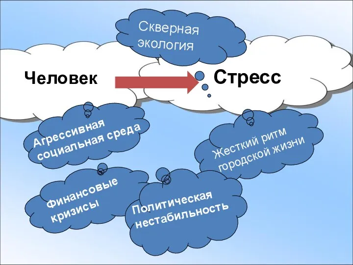 Человек Стресс Жесткий ритм городской жизни Агрессивная социальная среда Скверная экология Финансовые кризисы Политическая нестабильность