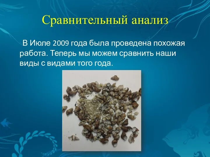 Сравнительный анализ В Июле 2009 года была проведена похожая работа. Теперь мы