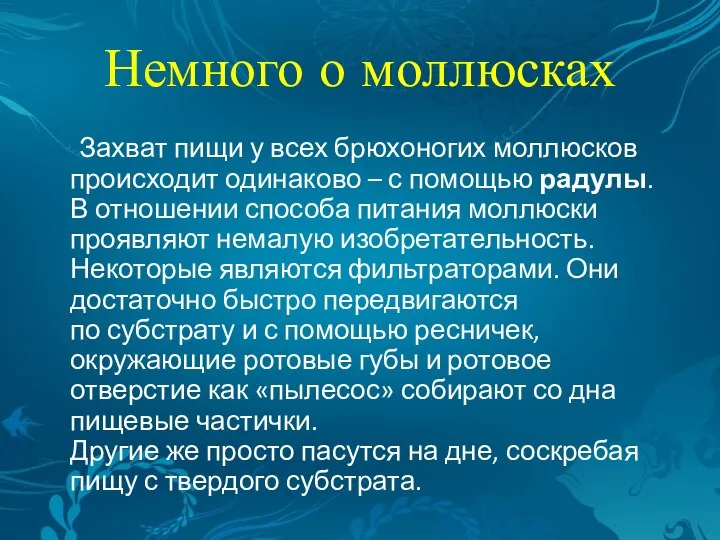 Немного о моллюсках Захват пищи у всех брюхоногих моллюсков происходит одинаково –