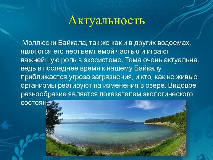 Актуальность Моллюски Байкала, так же как и в других водоемах, являются его