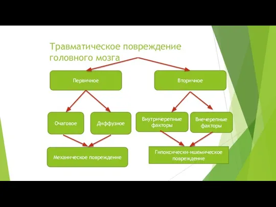 Травматическое повреждение головного мозга Первичное Вторичное Очаговое Диффузное Гипоксически-ишемическое повреждение Внечерепные факторы Внутричерепные факторы Механическое повреждение