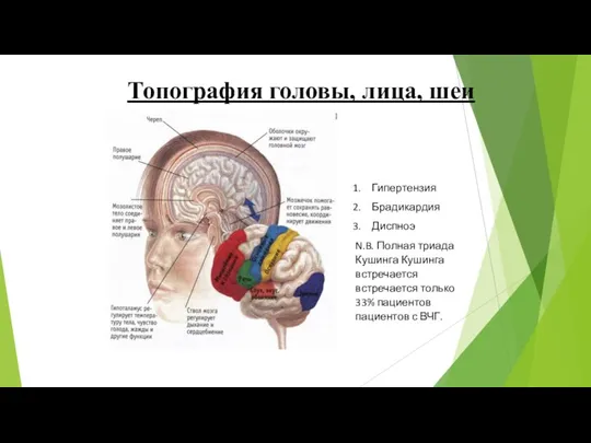 Топография головы, лица, шеи Гипертензия Брадикардия Диспноэ N.B. Полная триада Кушинга Кушинга