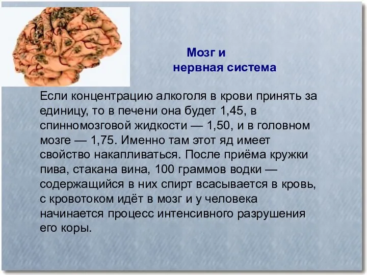 Мозг и нервная система Если концентрацию алкоголя в крови принять за единицу,