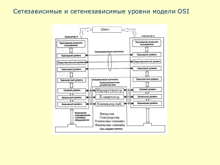 Сетезависимые и сетенезависимые уровни модели OSI