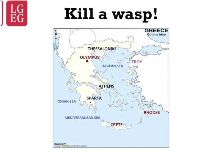 Kill a wasp!