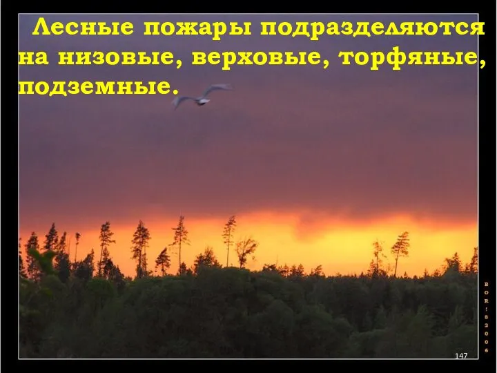 Лесные пожары подразделяются на низовые, верховые, торфяные, подземные.