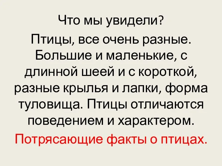 Что мы увидели? Птицы, все очень разные. Большие и маленькие, с длинной