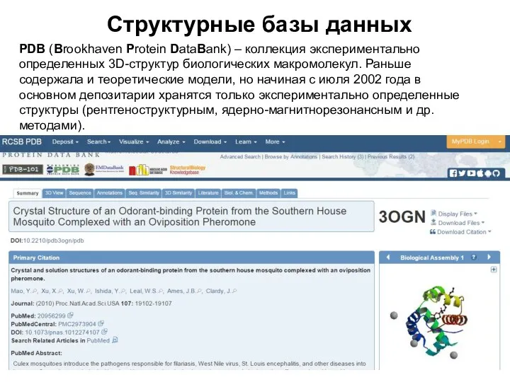 Структурные базы данных PDB (Brookhaven Protein DataBank) – коллекция экспериментально определенных 3D-структур