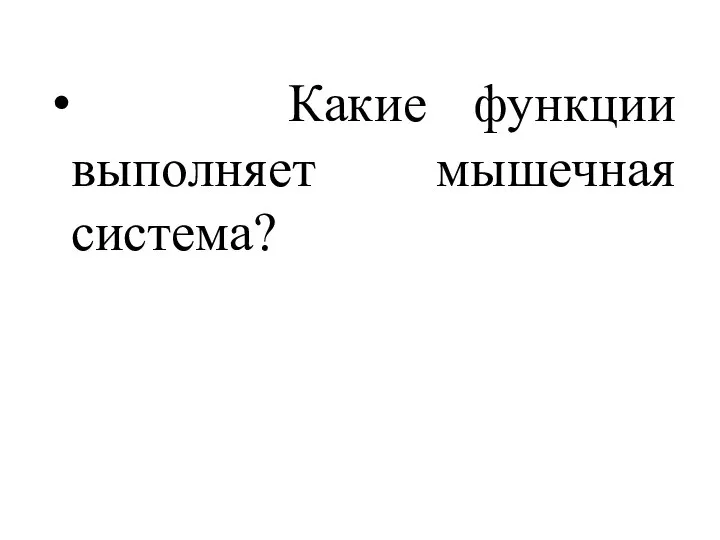 Какие функции выполняет мышечная система?