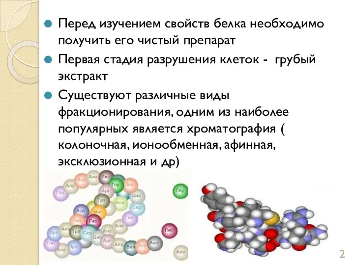 Перед изучением свойств белка необходимо получить его чистый препарат Первая стадия разрушения