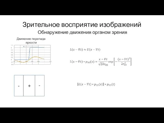 Зрительное восприятие изображений Обнаружение движения органом зрения Движение перепада яркости - + -