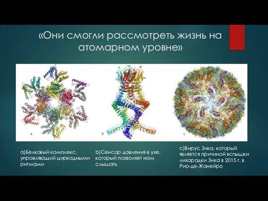 «Они смогли рассмотреть жизнь на атомарном уровне» a)Белковый комплекс, управляющий циркадными ритмами