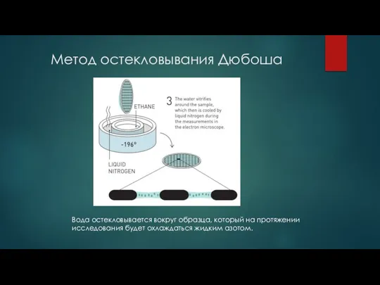 Метод остекловывания Дюбоша Вода остекловывается вокруг образца, который на протяжении исследования будет охлаждаться жидким азотом.