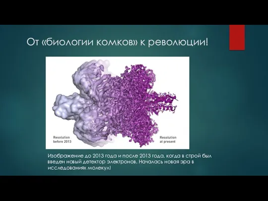 От «биологии комков» к революции! Изображение до 2013 года и после 2013