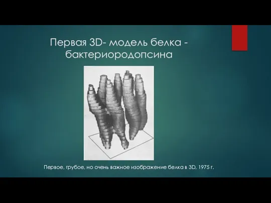 Первая 3D- модель белка - бактериородопсина Первое, грубое, но очень важное изображение