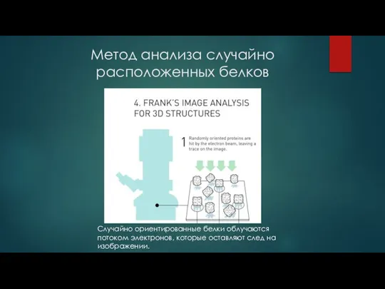 Метод анализа случайно расположенных белков Случайно ориентированные белки облучаются потоком электронов, которые оставляют след на изображении.