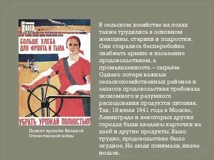 В сельском хозяйстве на полях также трудились в основном женщины, старики и