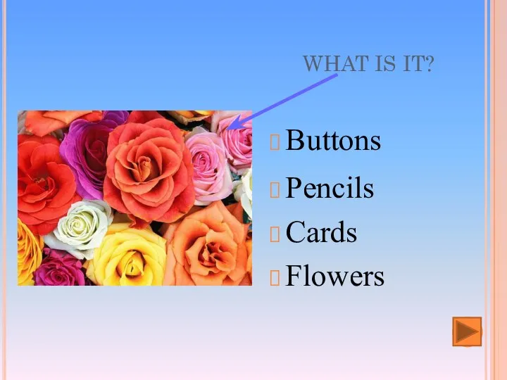 WHAT IS IT? Buttons Flowers Pencils Cards