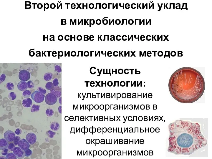 Второй технологический уклад в микробиологии на основе классических бактериологических методов Сущность технологии: