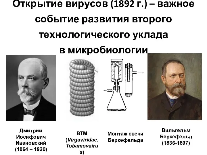 Открытие вирусов (1892 г.) – важное событие развития второго технологического уклада в